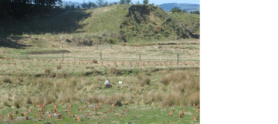 Ecological Restoration